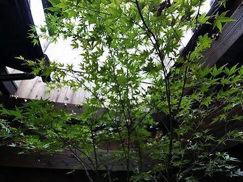 Shoubuan Machiya Residence Inn Kyoto 4*,  Japan